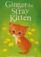 Ginger the Stray Kitten