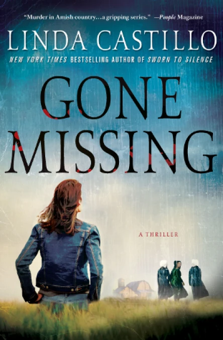 Gone Missing Kate Burkholder 4