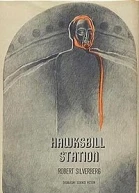 Hawksbill Station