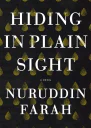 Hiding in Plain Sight