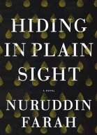 Hiding in Plain Sight