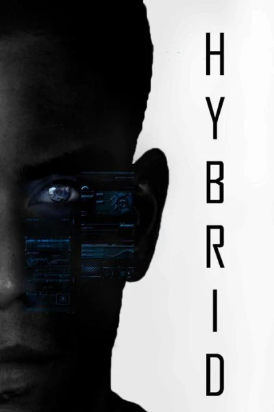 Hybrid Project Vigil