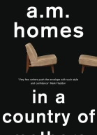 In A Country Of Mothers