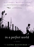 In a Perfect World