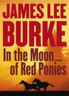 In the Moon of Red Ponies