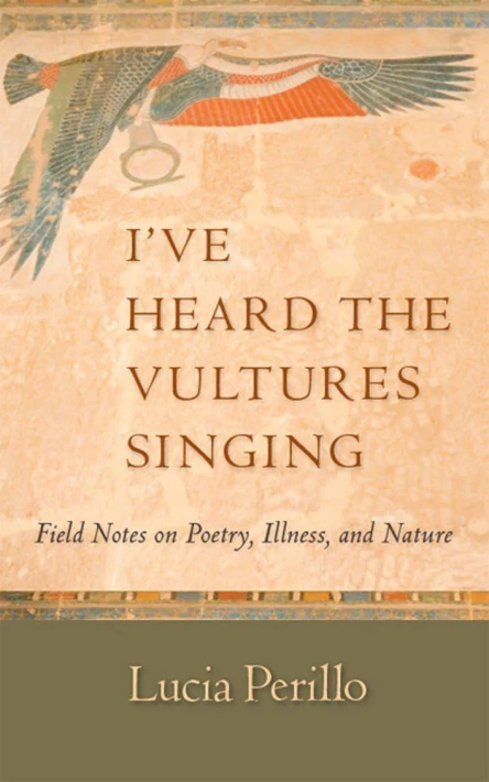 Ive Heard the Vultures Singing Field Notes on Poetry Illness and Nature