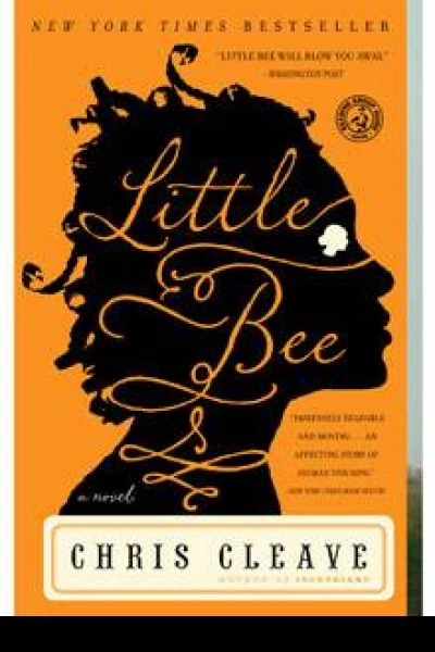Little Bee