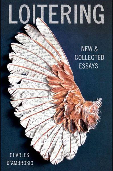 Loitering New and Collected Essays