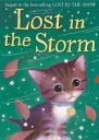 Lost in the Storm