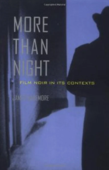 More Than Night  Film Noir in Its Contexts