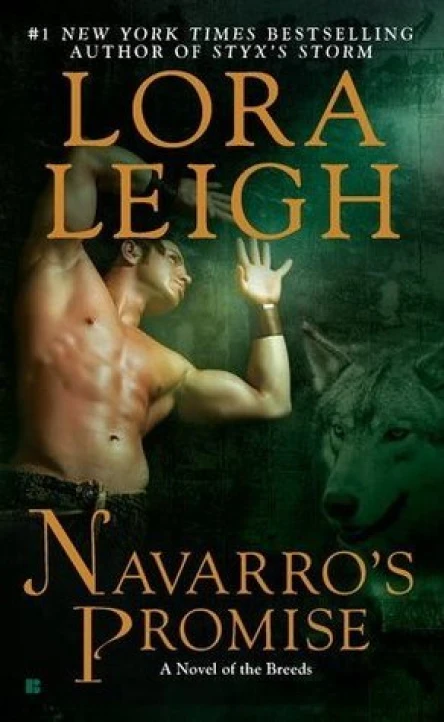 Navarros Promise