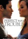 Perfect Kind Of Trouble