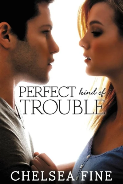 Perfect Kind Of Trouble