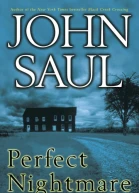 Perfect Nightmare