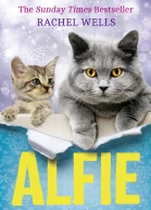 Rachel Wells Alfie the Holiday Cat