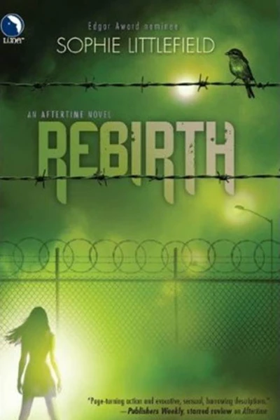 Rebirth