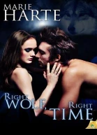 Right Wolf Right Time