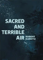 Sacred and Terrible AirGroup Ibex fan translationv4