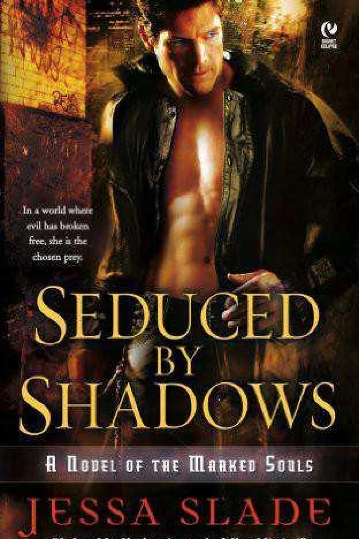 Seduced by Shadows  Slade Jessa