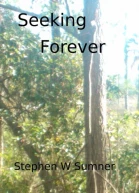 Seeking Forever