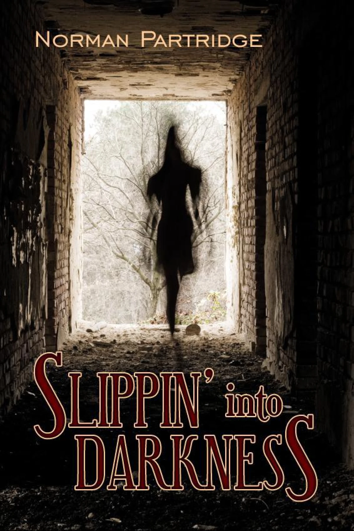 Slippin into Darkness  Partridge Norman