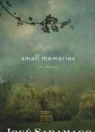 Small Memories