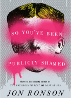 So Youve Been Publicly Shamed