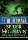 Spider mountain