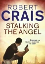 Stalking the Angel