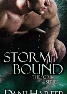Storm Bound