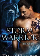 Storm Warrior