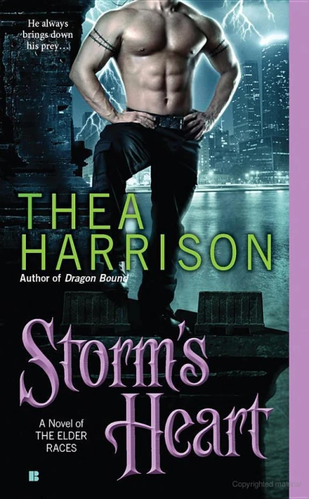 Storms Heart