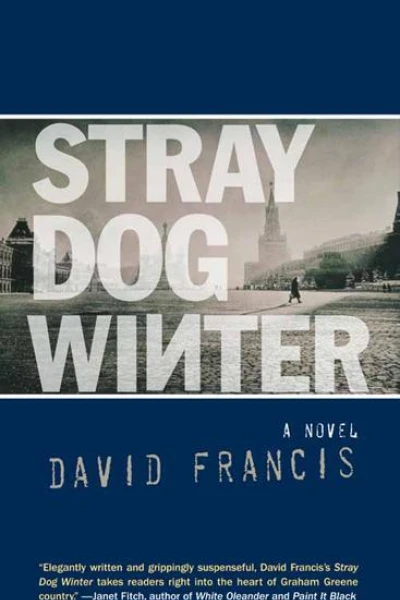 Stray Dog Winter