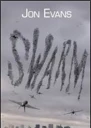 Swarm