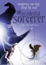 The Accidental sorcerer