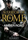 The Amber Road