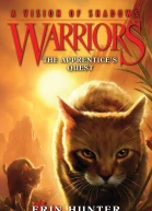 The Apprentices Quest