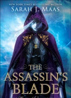 The Assassins Blade