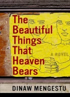 The Beautiful Things That Heaven Bears