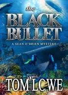 The Black Bullet