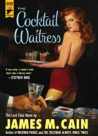 The Cocktail Waitress