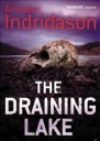 The Draining Lake