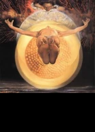 The Egg