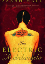 The Electric Michelangelo