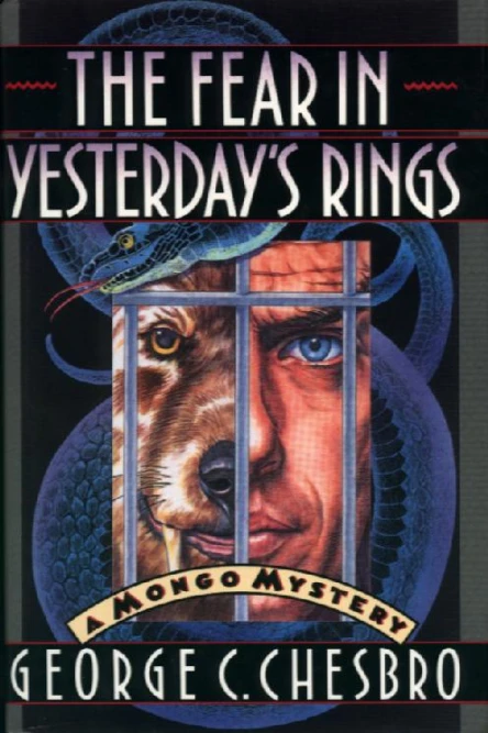 The Fear In Yesterdays rings