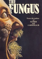 The Fungus