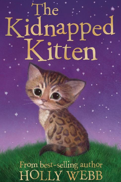 The Kidnapped Kitten