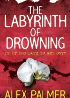 The Labyrinth of Drowning