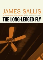 The LongLegged Fly