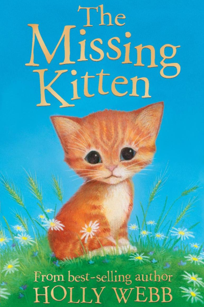 The Missing Kitten